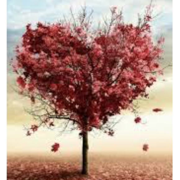 Meet your Posher, Mik - Picture 1 of 1